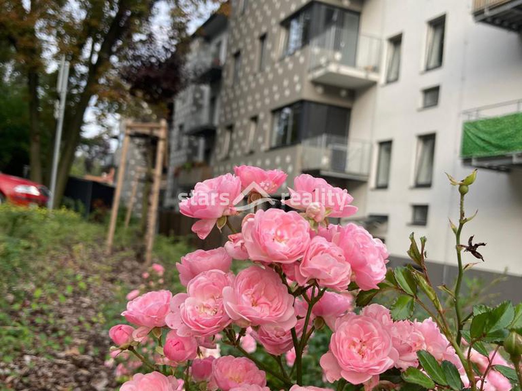 Pronájem bytu 2+kk s balkonem, v novostavbě v Milovicích