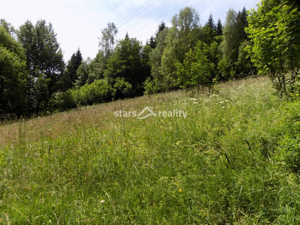 Prodej domu 4+1, pozemek 9523 m2, Desná III